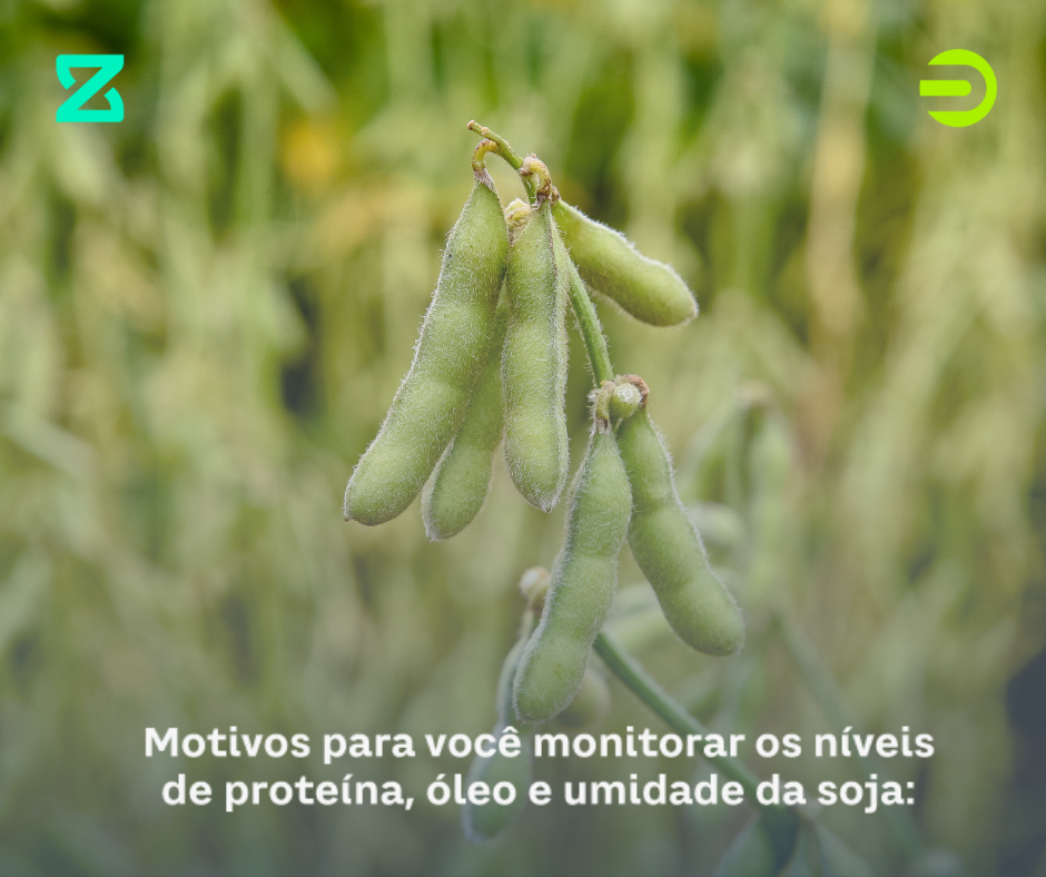Motivos para monitorar os níveis de proteína, óleo e umidade do grão da soja